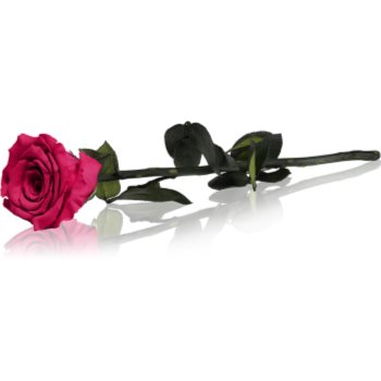 RoseAmor Fuchsia trandafir stabilizat pe tulpină 30 cm - imagine 2